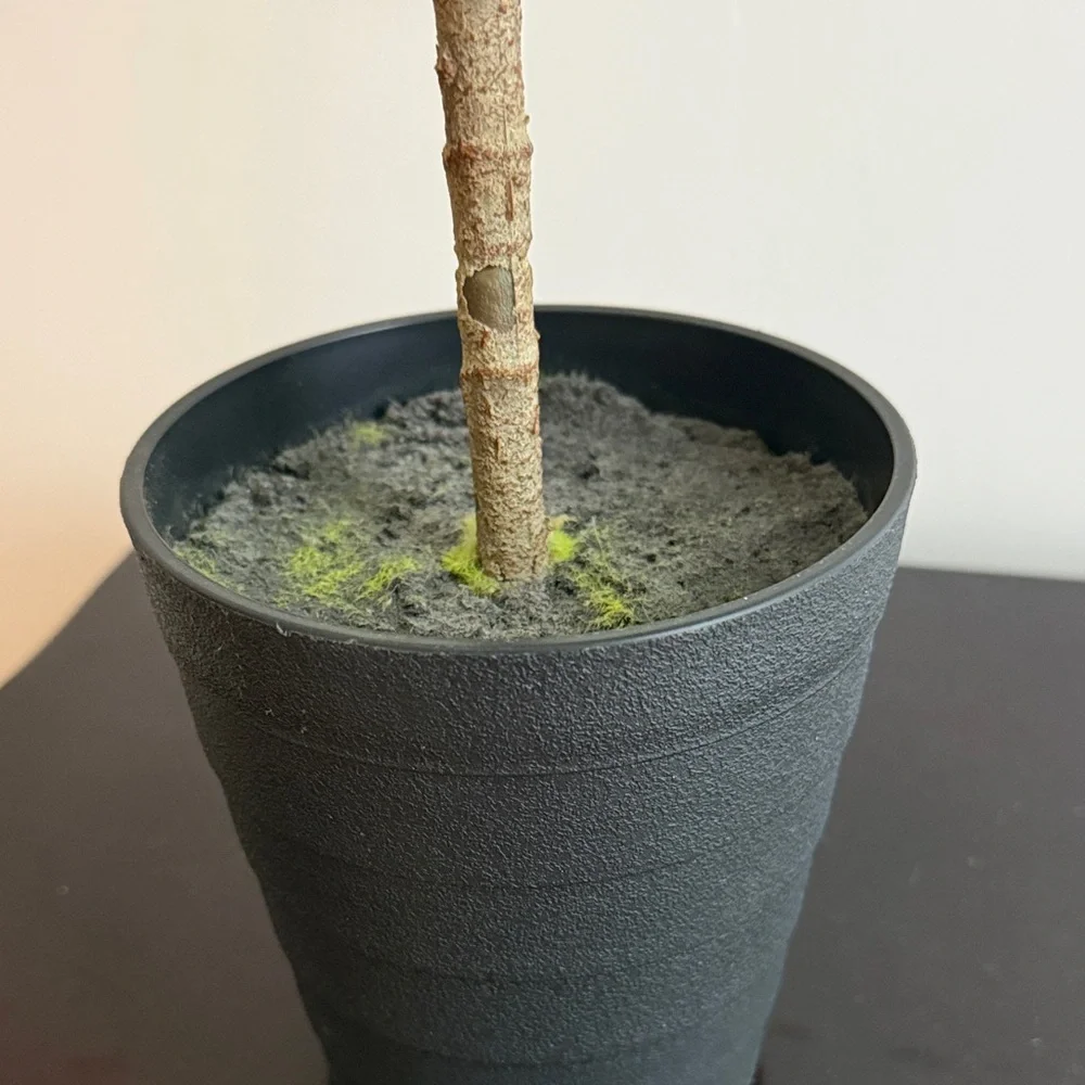 Artificial Fiddle Leaf Fig Tree in Black Pot - Picture 2 of 6